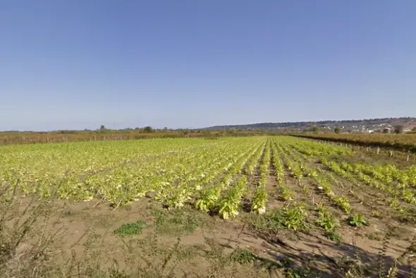 #4789 Terreno agricolo di 8.170 mq