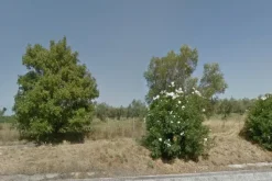 #4755 Terreno agricolo di 17.520 mq