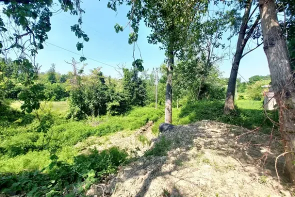#23670 Terreno agricolo di 2.405 mq