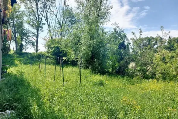 #23670 Terreno agricolo di 2.405 mq