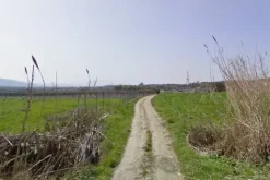 #4756 Terreno agricolo di 17.960 mq