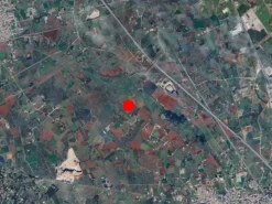 #23972 Terreno agricolo di 10.734 mq