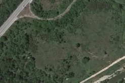 #18162 Terreno agricolo di 63.715 mq