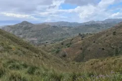 #18176 Terreno agricolo di 175.540 mq