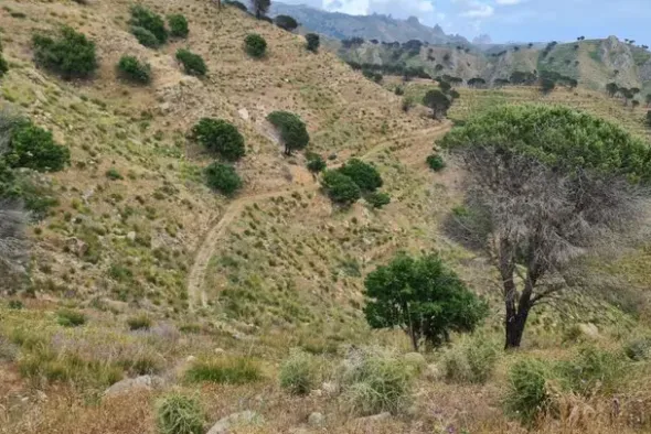#18177 Terreno agricolo di 111.100 mq