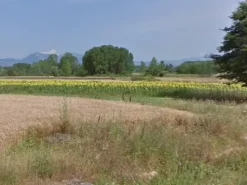 #11685 Terreno agricolo di 32.270 mq