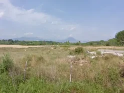 #11685 Terreno agricolo di 32.270 mq