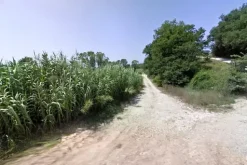 #23648 Terreno agricolo di 113.160 mq