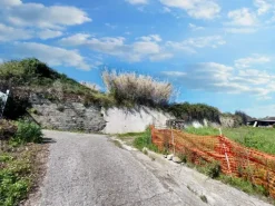 #23193 Terreno agricolo di 29.226 mq