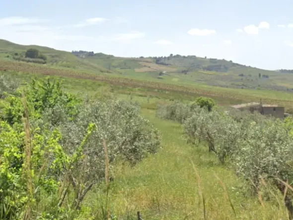#25753 Terreno agricolo di 4.340 mq