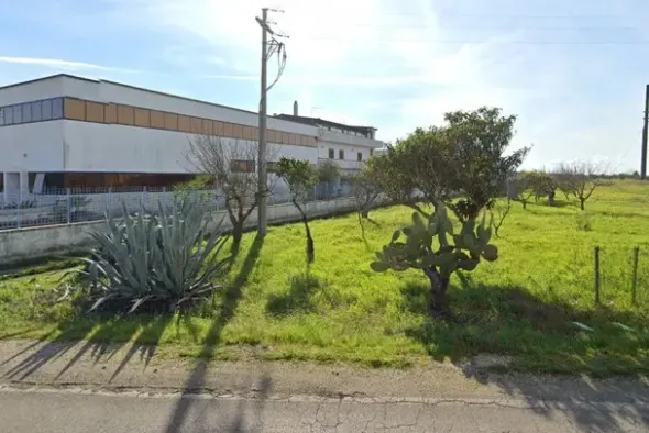 #13594 Terreno agricolo di 7925 mq