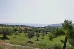 #4749 Terreno agricolo di 30.200 mq