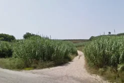 #4751 Terreno agricolo di 30.360 mq