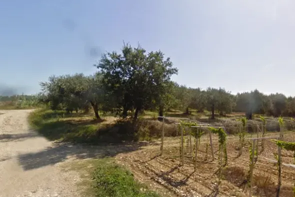 #4751 Terreno agricolo di 30.360 mq