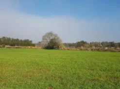 #23969 Terreno agricolo di 22.063 mq