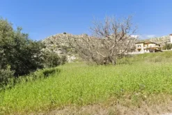 #18165 Terreno agricolo di 21.790 mq
