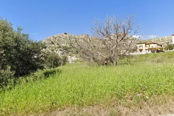 #18165 Terreno agricolo di 21.790 mq