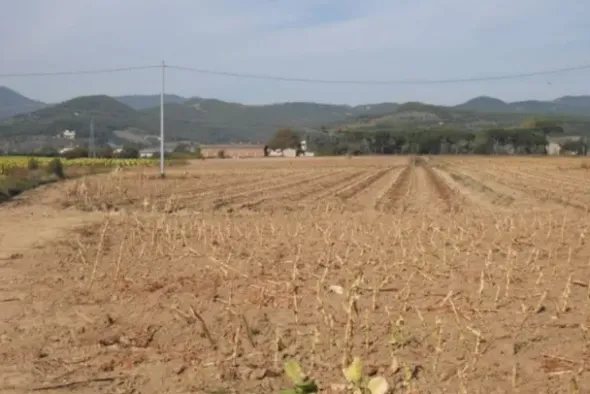 #24234 Terreno agricolo di 75585mq