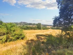 #23845 Terreno agricolo di mq25220