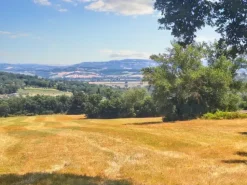 #23845 Terreno agricolo di mq25220