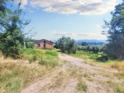 #23845 Terreno agricolo di mq25220