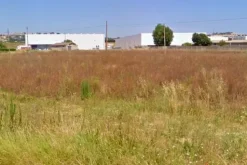 #21431 Terreno agricolo di 9641 mq