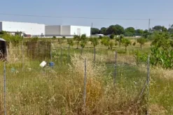#21431 Terreno agricolo di 9641 mq