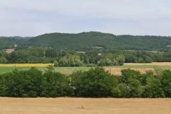 #15014 Terreno agricolo di 78.763 mq