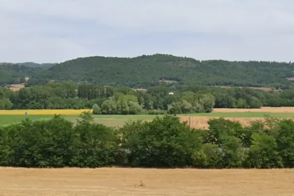 #15014 Terreno agricolo di 78.763 mq