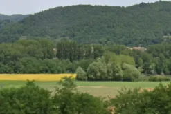 #15014 Terreno agricolo di 78.763 mq