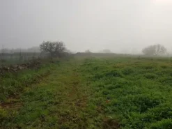 #23968 Terreno agricolo di 17.766 mq