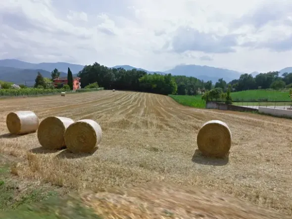 #11687 Terreno agricolo di 36.410 mq