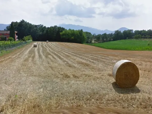 #11687 Terreno agricolo di 36.410 mq