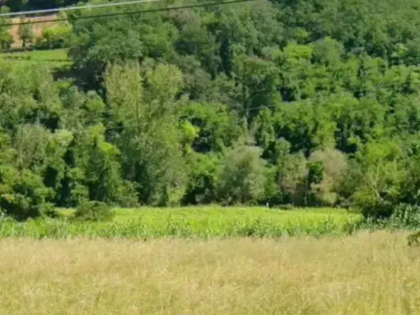 #2536794 Terreno agricolo di 1.980 mq