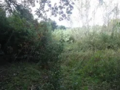 #2533011 Terreno agricolo di 22.921 mq