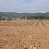#24233 Terreno agricolo di 16906mq