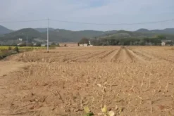 #24233 Terreno agricolo di 16906mq