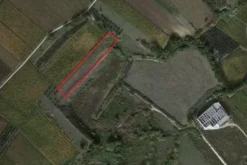 #4786 Terreno agricolo di 3.990 mq