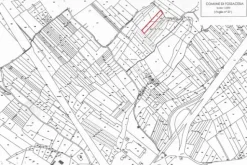 #4786 Terreno agricolo di 3.990 mq