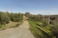 #24763 Terreno agricolo di 15.010 mq