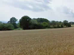 #11686 Terreno agricolo di 21.403 mq