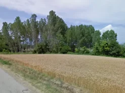 #11686 Terreno agricolo di 21.403 mq