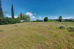 #23485 Terreno agricolo di 31.895 mq
