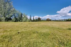 #23485 Terreno agricolo di 31.895 mq