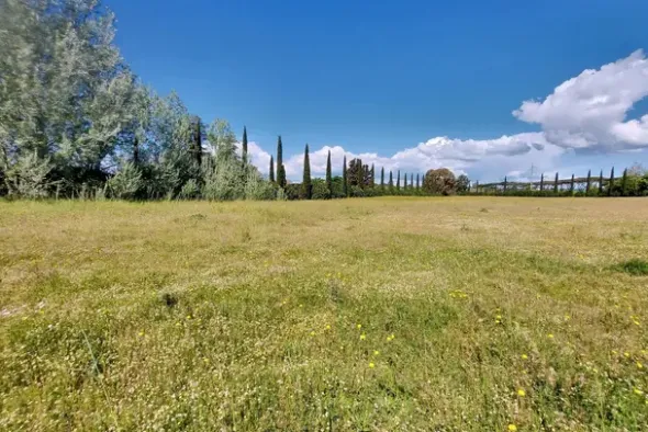 #23485 Terreno agricolo di 31.895 mq