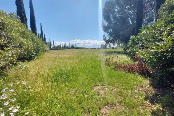 #23485 Terreno agricolo di 31.895 mq