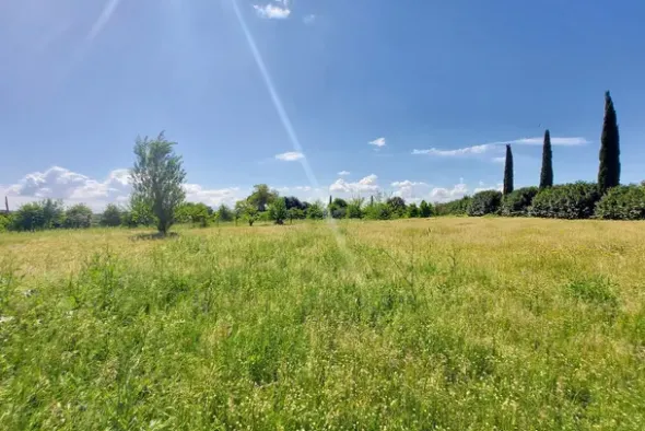 #23485 Terreno agricolo di 31.895 mq