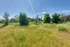 #23485 Terreno agricolo di 31.895 mq