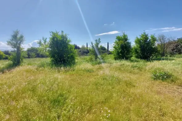 #23485 Terreno agricolo di 31.895 mq