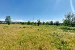 #23485 Terreno agricolo di 31.895 mq